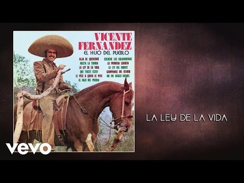 Vicente Fernández - La Ley de la Vida (Cover Audio)