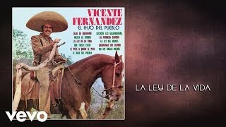 Vicente Fernández - La Ley de la Vida (Cover Audio)