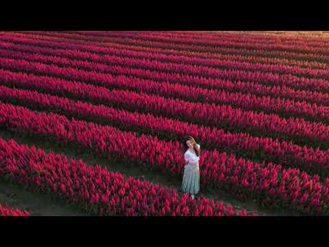 davikah i love flower