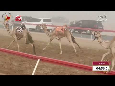  ش 8 (ملاله) لـ هاشم أحمد يوسف العوضي 8:2 , شارة الديوان 2 2026/09/27 ايذاع اللبسه 