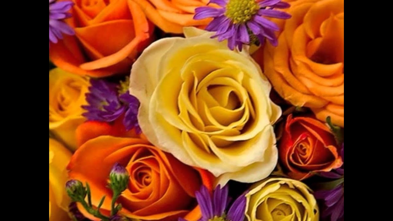 Tum Kya Mile Jaane Jaan Lyrics  | Saatwan Aasman | Vivek Mushran, Pooja Bhatt | Lata Mangeshkar, Udit Narayan | Raamlaxman (Vijay Patil)