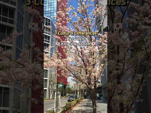 Cultural Differences: Korea vs Japan