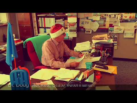 Meckes Saves Christmas