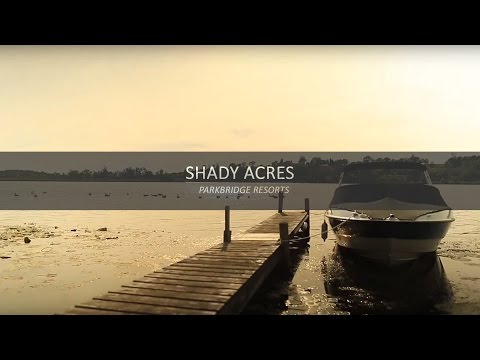 Gallery Video