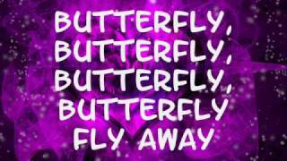 Miley Cyrus- Butterfly fly away (lyrics)