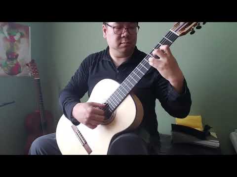 Opus 59 Part 2 No 1 - Andante In D Major - Matteo Carcassi