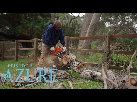 Azure on Panorama | Episode Two