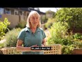 City Of Wanneroo Volunteering Girrawheen Community Garden