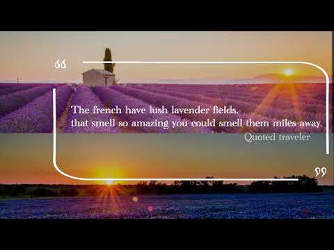 Untranslatable ( Flâner)