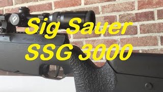 SIG Sauer SSG 3000 - Schmidt & Bender 4-16x50 - 110 Yards