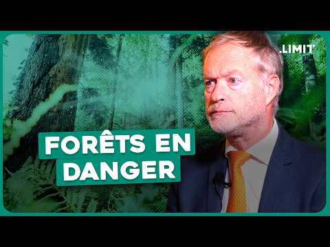 POURQUOI LA FORÊT S'EFFONDRE - Marc-André Selosse | LIMIT