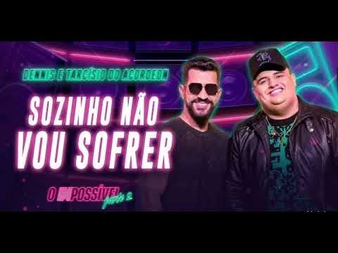 Dennis DJ & Tarcísio do Acordeon - Sozinho Não Vou Sofrero