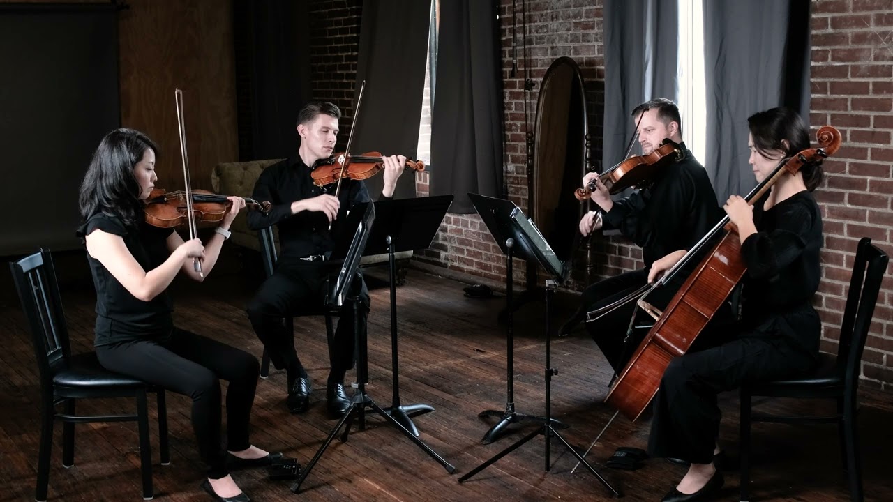 Promotional video thumbnail 1 for Project String Quartet