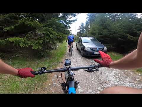 Valea Bădenilor  - Vârful Leaota (LE)