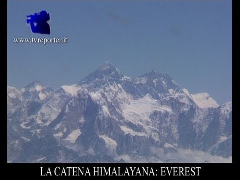 Che fare se le lentiggini hanno cominciato ad apparire Usi il perossido di idrogeno per candeggiare della persona