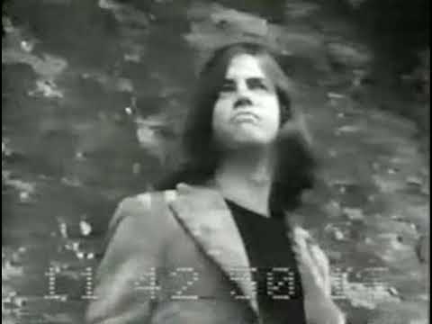 The Pretty Things - Can't Stand The Pain