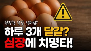 달걀 이렇게 먹으면 심장 망칩니다! 건강한 달걀 섭취법과 보관법