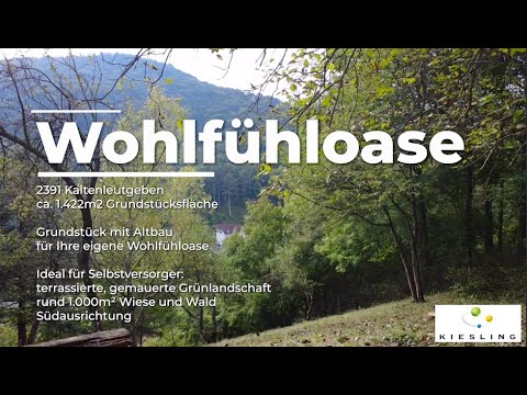 Immobilieneinblick 2 Grundstück mit Altbau - Ihre Wohlfühloase 2391 Kaltenleutgeben #kaufobjekt