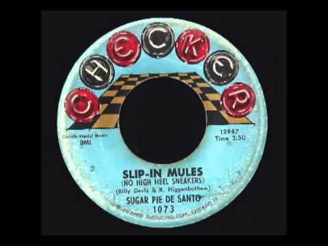 download lagu mp3 mp4 Slip In Mules, download lagu Slip In Mules gratis, unduh video klip Slip In Mules