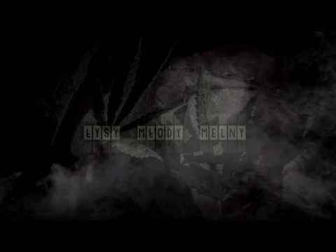 Łysy x Młody SMF x Melny - Palisz?