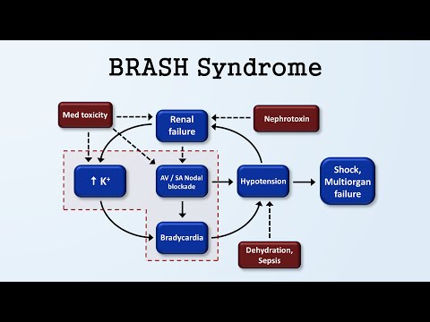 BRASH Syndrome (Bradycardia, renal failure, AV block, shock, hyperkalemia)