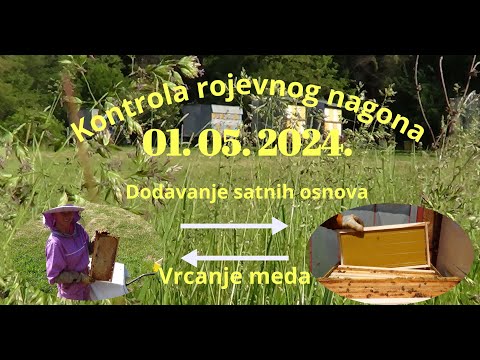 02.05.2024. - Dodajemo satne osnove, vrcamo med, kontrola rojevnog nagona - Pčelarstvo Ivančević
