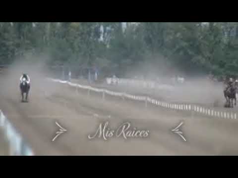 especial de sabalero