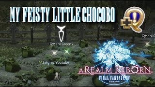 My Feisty Little Chocobo - Final Fantasy XIV - A Realm Reborn
