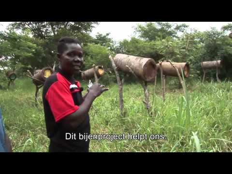 download lagu mp3 mp4 De Honger 2013, download lagu De Honger 2013 gratis, unduh video klip De Honger 2013