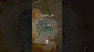 Jean 8:31-32 Louis Segond #labible #biblevision