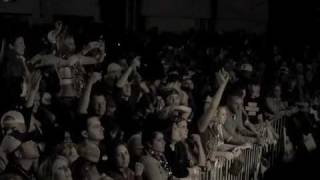 Stoney LaRue Down In Flames - Great Quality Texas Mardi Gras