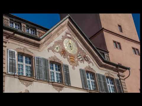 Portrait Rheinfelden