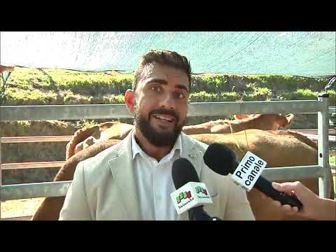 Festa cultura contadina, Medusei (Lega): "Non c'è solo il mare, valorizziamo anche l'entroterra"