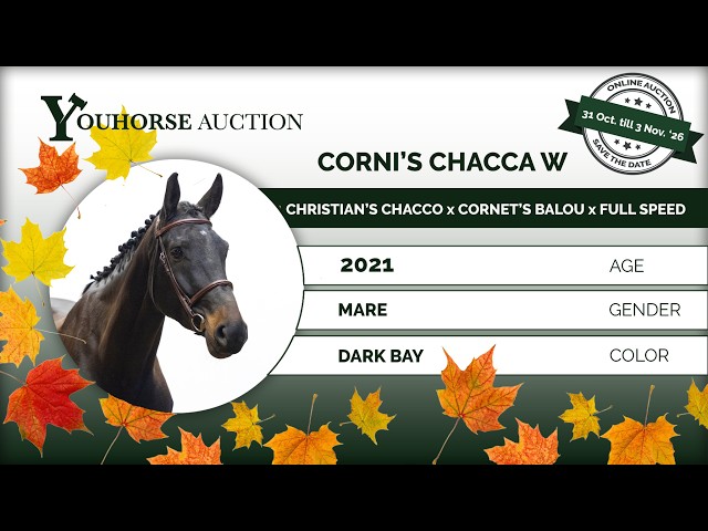 Corni's Chacca showvideo