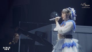 - 小倉 唯「白く咲く花」(Memorial LIVE 2023~To the 11'Eleven~ver.)