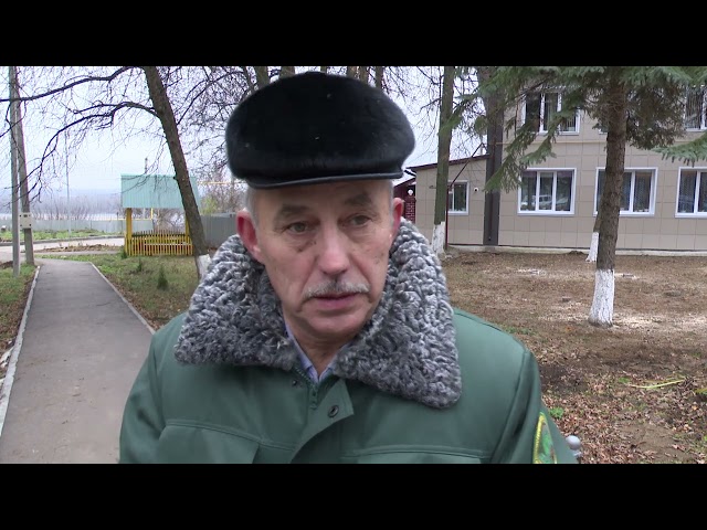 В Мамадыше высадили аллею туй и магонии