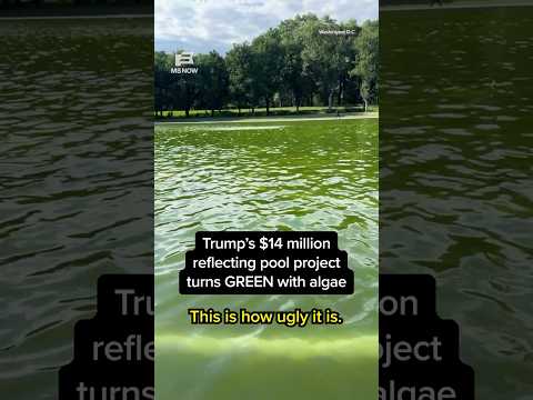 Trump's $14 million reflecting pool project turns GREEN with algae