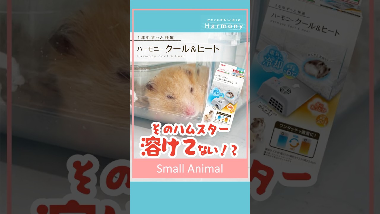 【🐹溶けているのは暑がりサインかも⁉️】ハーモニークール＆ヒートなら電気の力でしっかり冷却❄️一年中快適に過ごせます✨