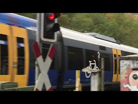 RB 74 "Sennebahn" nahe der Fischteiche bei Paderborn