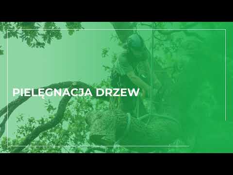 Foresto Usługi leśne, handel drewnem Robert Guśtak - video