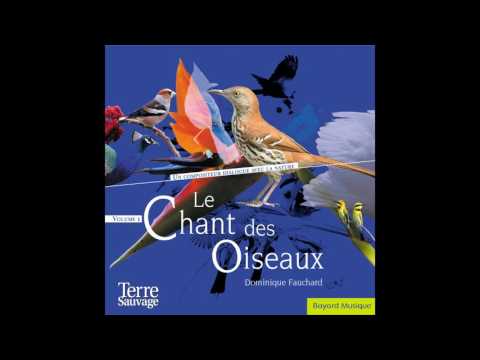 Dominique Fauchard, Etienne Arnoux-Moreau, Nicolas Scheid - Equinoxe de printemps