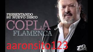 parrita -  zambra gitana 2016