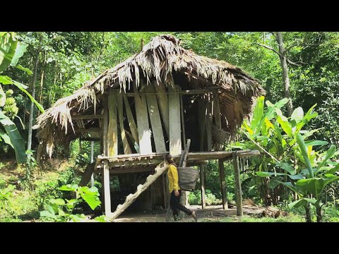 full video poor girl alone renovates abandoned house, rebuilds it into wooden house