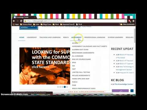 Cps Reach Performance Tasks