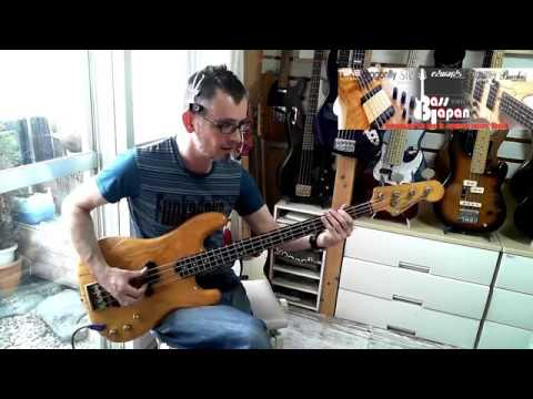 VERKAUFT Fernandes FPM80 Circa '79 DiMarzio Loaded.