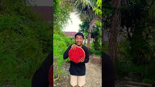 Download lagu Cocomelon #short #funny #comedy #trending #viral #foryou #foryoupage #subscribe mp3