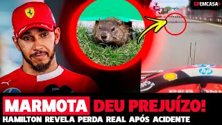 MARMOTA DEU PREJUÍZO ENORME E ACABOU COM CORRIDA DE HAMILTON NO CANADÁ | FÓRMULA 1 | GP EM CASA+
