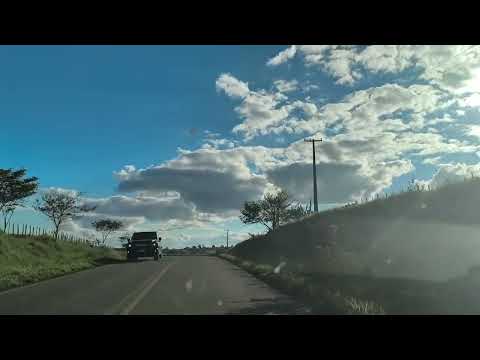Irajuba