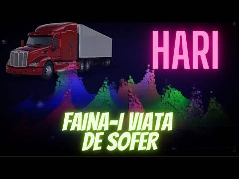 Hari Bunget - Faina-i viata de sofer | Official Video