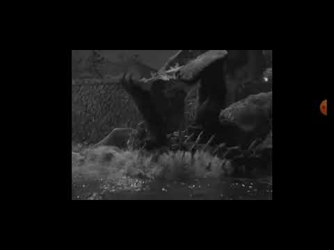 godzilla raids again anguirus fall